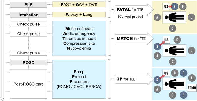 Termination of resuscitation – POCUS Academy